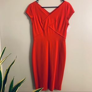 NWT Classiques entier italian ponte knit dress 6P